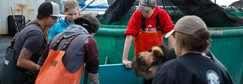 Students standing around a large fish tub